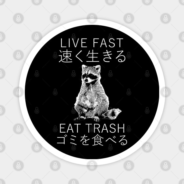 LIVE FAST RACCOON JAPANESE Magnet by giovanniiiii